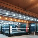 한국복싱클럽 이미지