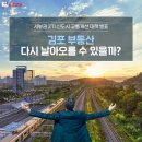 '김부선' 대신 '김용선'으로, 추가 계획까지.. 김포는 죽지 않았다? 이미지