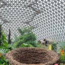 거제새둥지펜션 이미지