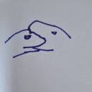 최영민 동물의료센터 이미지