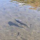 서인빌리지 앞 | 후쿠오카 다녀오카2