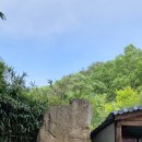 영신당약국 네이버블로그