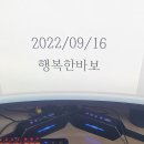 A2K 프리모어 외야 국대배색 처분합니다. 이미지