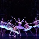 동화발레 <잠자는 숲속의 미녀> 이미지