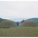 제일장의사 이미지