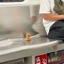 왕초보영어회화 | 강남영어회화학원 왕초보 내돈내산 후기