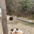 정글비 충남홍성점 이미지