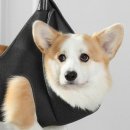 사랑스럽개 반려동물미용 | 🐶🐱광고) ZOZI 반려동물 미용 거치대 후기