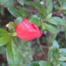 자전거도로 옆 이미지