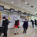 가톨릭대학교 부천성모병원 이미지