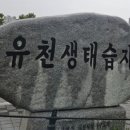 동산동-16 이미지