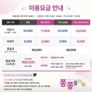 퐁퐁플라워 죽전센터 | 퐁퐁플라워 용인센터 내돈내산 후기