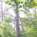 임호체육공원 이미지