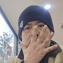 리좀