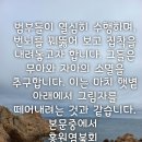 그림자 이미지