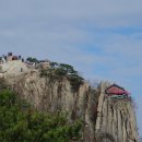 삼봉중앙로 공원 이미지