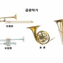 다음악기 이미지