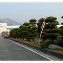 하이트 진로 전주공장 이미지