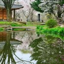 호텔정관루별관(콘도별장) 이미지