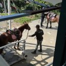 상곡7리마을회관 | [취미 기록] 🐴 힐링승마 :: 2024 힐링승마 초급1 후기(상편:1일차~3일차) | 부산 기장 동부산승마장...