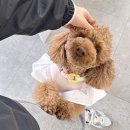 달래홀릭 이미지