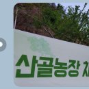 청정농장 이미지