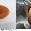 김옥순 농장 이미지