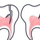 용두치과의원 이미지