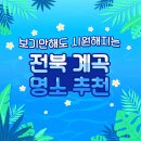 시원해지는 전북특별자치도 계곡 명소 소개 + 제12회 무주산골영화제 간단 후기 - 디자인의 중심 (주)사각