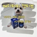 퍼피안 | 메디퍼피 액티브 강아지 관절 영양제 간식처럼 급여 가능 후기