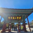 홍룡사 - 1811 | 비 오는 날 가야 진짜인 양산 홍룡사 홍룡폭포 방문 후기 (양산 가볼만한곳)