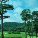금강센테리움(주) 네이버블로그