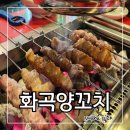 화곡동 양꼬치 화곡양꼬치 강서구 까치산 로컬 맛집 추천