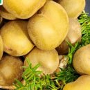 골드농장 이미지