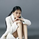 비비데이즈