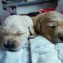 남제주 민박 이미지