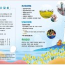 호미곶경관영농조합법인 티스토리