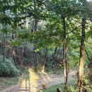 응암시장 이미지