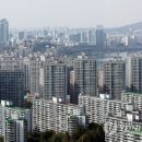 노닥노닥 이미지