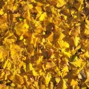 행복한 홈패션 이미지