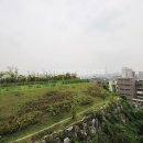 삼성라이프공인중개사사무소 이미지