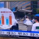 가평 WING'S 태권도장 이미지