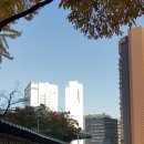 원 행정사사무소 이미지