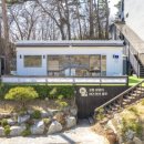 강릉댕댕이애견펜션블루 이미지