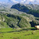 오늘은고기 돼지고기 전문점 이미지