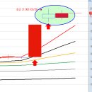 (주)다산약품 이미지