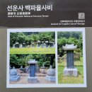 연모지정 | 선운사 꽃무릇 2025.09.25 목요일
