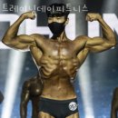 트레이닝데이 피트니스 이미지