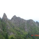 세상을피우다 이미지