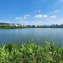 만성수변공원 | 전주 기지제수변공원 둘레길 주차 | 산책하기 좋은 전주 혁신도시 기지제